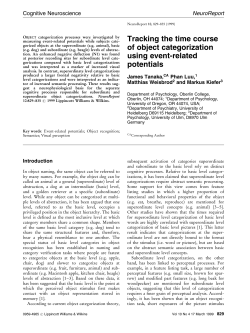 Cognitive Neuroscience: Tracking the time course of object
