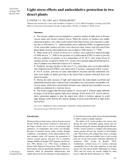 Light stress effects and antioxidative protection in two desert plants