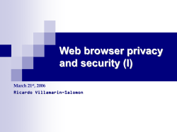 Ricardo Villamarin`s web browser privacy and security