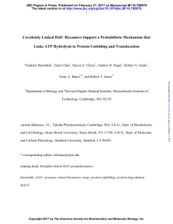 Covalently Linked HslU Hexamers Support a Probabilistic