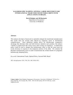 Kaleidoscopic Damping: Optimal Labor