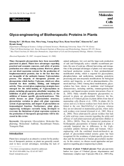 Glyco-engineering of Biotherapeutic Proteins in Plants Molecules