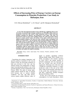 Effects of Increasing Price of Energy Carriers on Energy