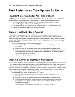 Option 3: A TV News Segment
