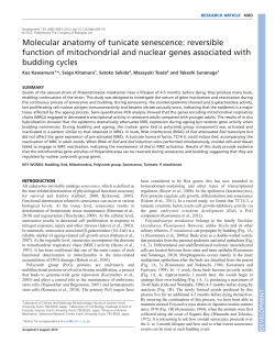 Molecular anatomy of tunicate senescence