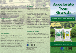 Accelerate Your Growth