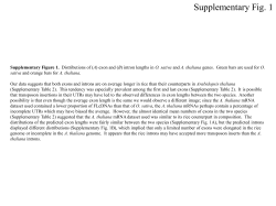 MS PowerPoint (Supplementary Figures)