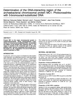 Determination of the DNA-interacting region of the archaebacterial