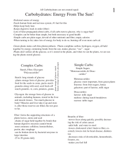 Carbohydrates: Energy From The Sun!
