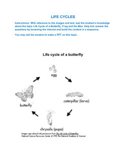 LP 03 Life cycle of a butterfly Frog and man