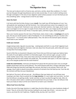 - Bright Star Schools