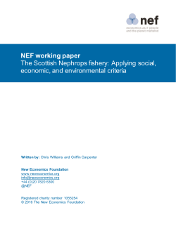 NEF working paper The Scottish Nephrops fishery