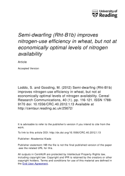 Semi-dwarfing (Rht-B1b) improves nitrogen