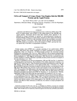 Cell-to-cell Transport of Cowpea Mosaic Virus Requires Both the
