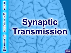Synaptic Transmission