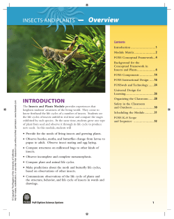 INSECTS AND PLANTS Overview