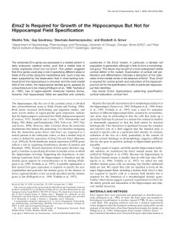 Emx2 Is Required for Growth of the Hippocampus But Not for