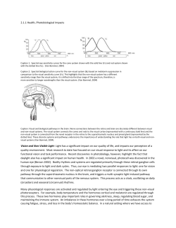 2.1.1 Health, Photobiological Impacts Caption 1: Spectral eye