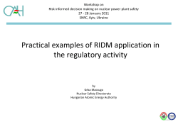 Practical examples of RIDM application in the regulatory activity