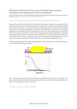 Gold-Nanorod-Enhanced Fluorescence Correlation Spectroscopy of