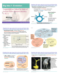 Organisms share many conserved core processes