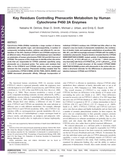 Key Residues Controlling Phenacetin Metabolism by Human