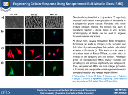 Engineering Cellular Response Using Nanopatterned