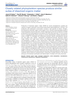 Closely related phytoplankton species produce similar