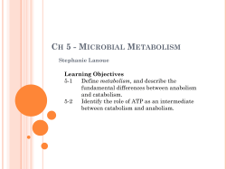 Microbial Metabolism