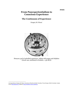 From Panexperientialism to Conscious Experience