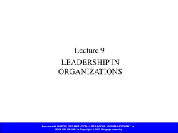 Chapter 9 - Leadership within organizations