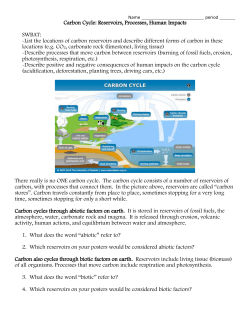 Carbon Cycle