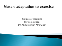 L7- Muscle adaptation to exercise2014-08