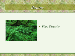 Lecture #13 Date ______