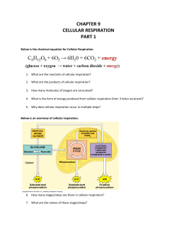 Unit 4 Cellular Energetics Chp 9 Cell Respiration