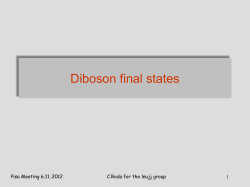 Slides - Agenda INFN