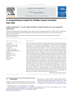 A computational model for biofilm