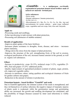 GUMISIL_Presentation