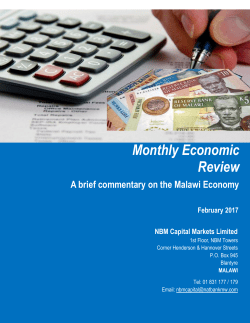 nbm capital markets limited