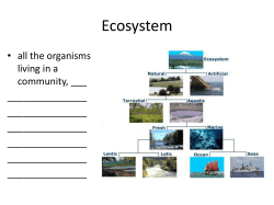 Net primary production