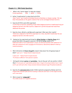 Chapter 4-1: DNA Study Questions