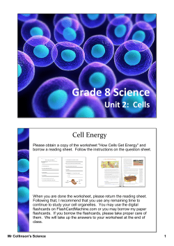 Grade 8 Science