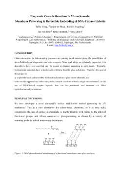 ABSTRACT FORMAT FOR BIOMECHANICA IV