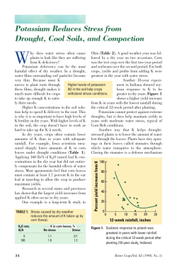 Potassium Reduces Stress from Drought, Cool Soils, and Compaction