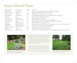Septic Mound Plants