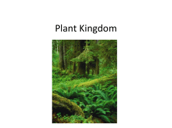 Plant Kingdom - Valhalla High School