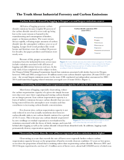 The Truth About Industrial Forestry and Carbon Emissions