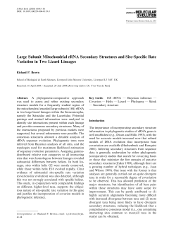 Large Subunit Mitochondrial rRNA Secondary