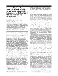 Community Structure, Abundance, and in Situ Activity of Nitrifying