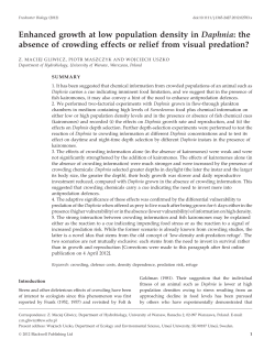 Enhanced growth at low population density in Daphnia: the absence